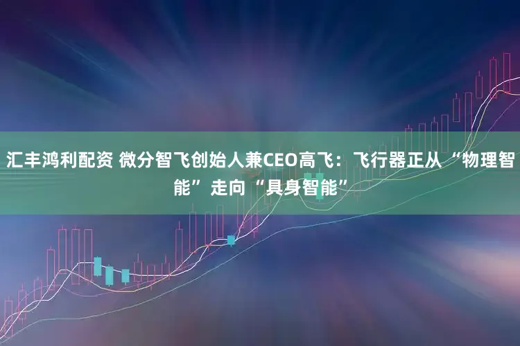 汇丰鸿利配资 微分智飞创始人兼CEO高飞：飞行器正从 “物理智能” 走向 “具身智能”