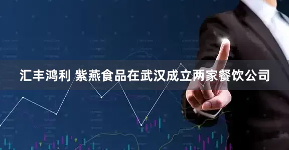 汇丰鸿利 紫燕食品在武汉成立两家餐饮公司