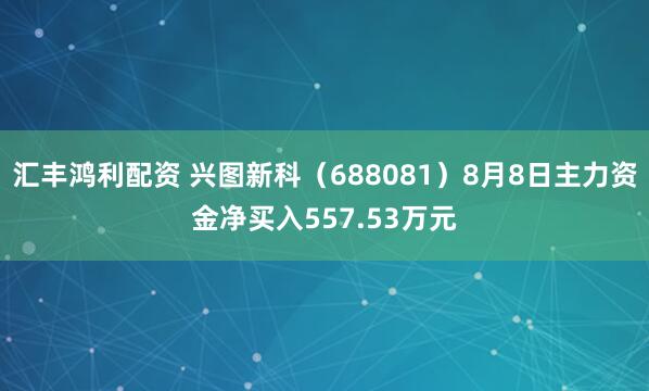 汇丰鸿利配资 兴图新科（688081）8月8日主力资金净买入557.53万元