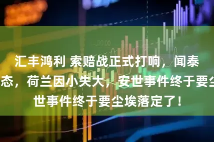 汇丰鸿利 索赔战正式打响,闻泰科技明确表态,荷兰因小失大,安世事件终于要尘埃落定了!
